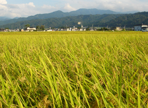 �R�V�q�J��